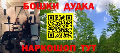 ешки Славгород