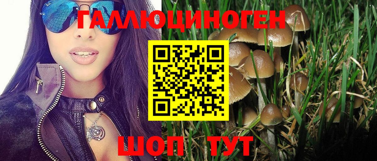 Псилоцибиновые грибы мицелий  где продают   Вход с VPN  Новый Уренгой  Галлюциногенные грибы прущие грибы 