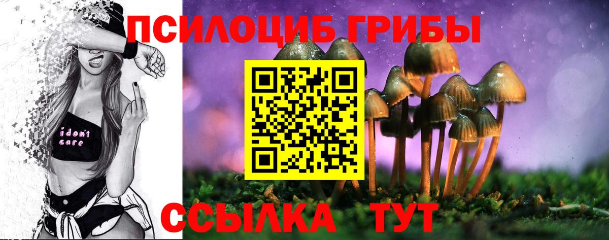 Псилоцибиновые грибы мухоморы Новый Уренгой